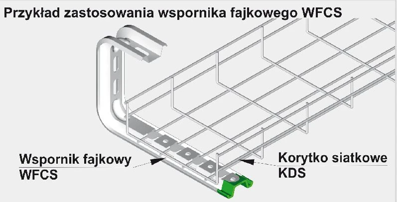 Baks WFCS100 VAMZDŽIO KRAIŠKAS