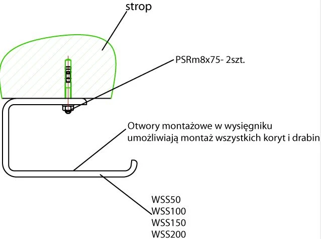 Lentyna prie sienos/lubų BAKS WSS100 (120mm)