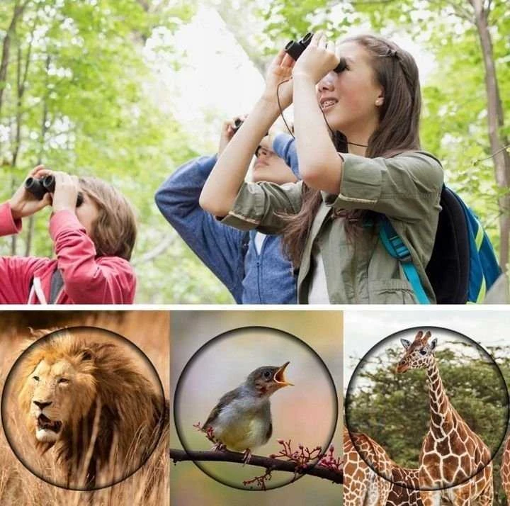 Žiūronai Lornetka Kf Lornetka Mini K&f Zoom 8x 21mm 8x21 Bak4 Ip65 + Dėklas / Kf33.069