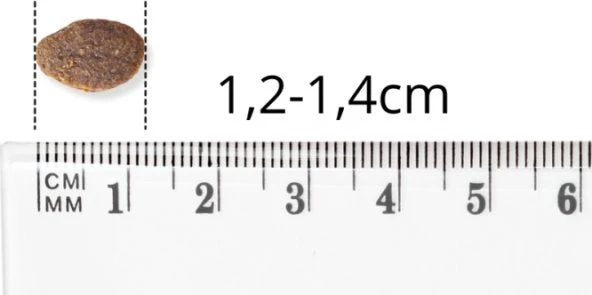 BALTICA Smaki regionów Small breeds antiena with pear – sausas Maistas šunims – 6kg