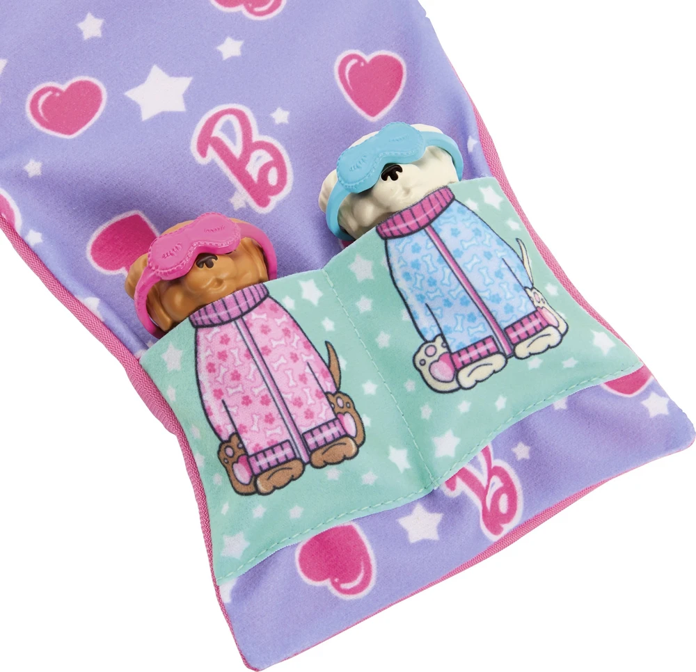 Mattel BARBIE lėlės ir šunelių pižamų vakarėlio rinkinys (HXN01)