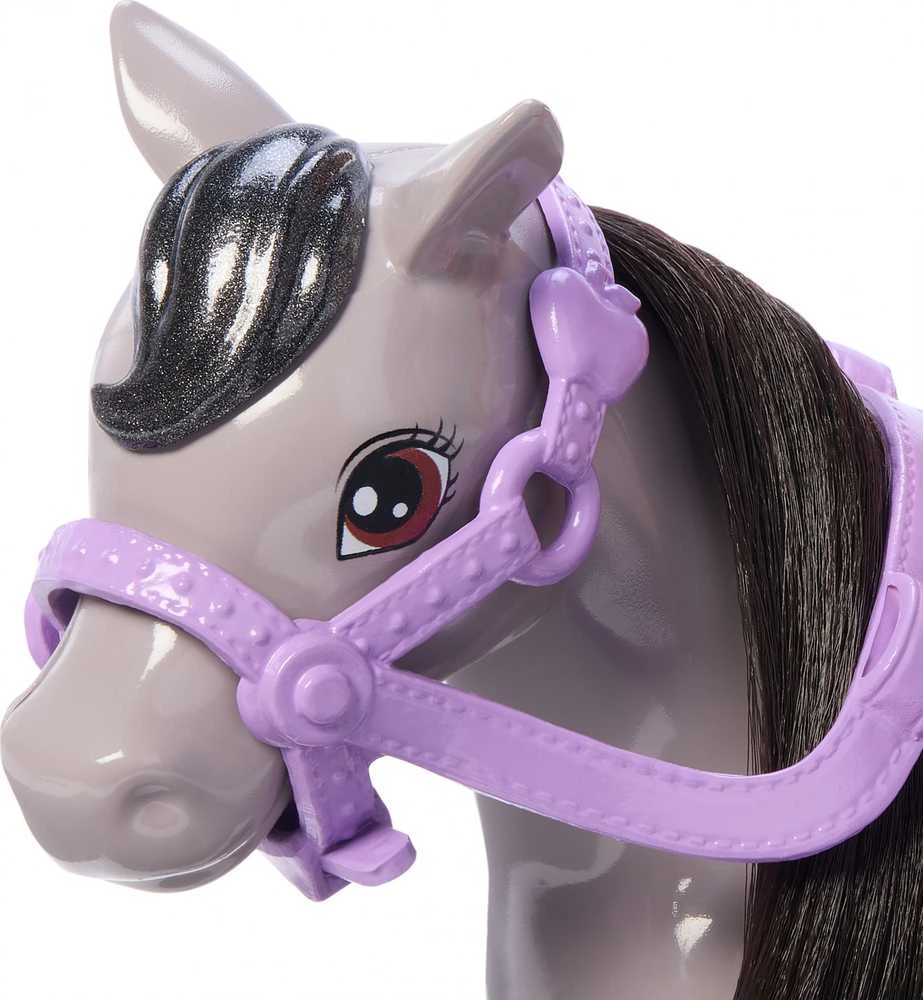 Mattel CHELSEA lėlytės ir ponio rinkinys (HTK29)