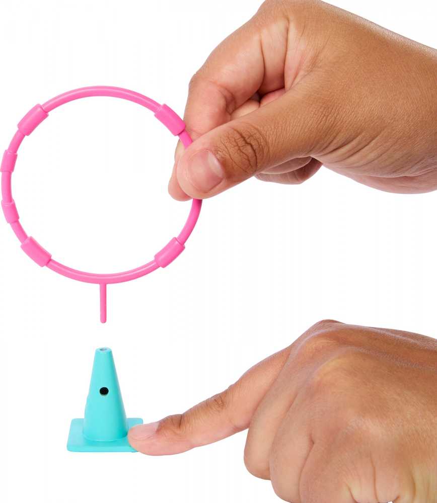 Lėlė Barbie and Stacie Puppy Obstacle Course HRM10 Mattel