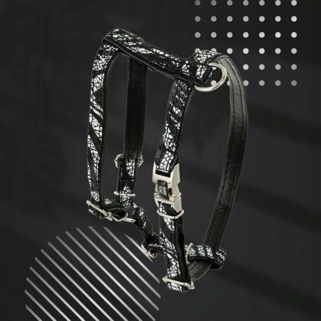 Barry King Equilibre šuns petnešos, juodos zebro spalvos, nikelio odos, S 13 mm / kaklo apimtis 25–40 cm, krūtinės apimtis 35–50 cm
