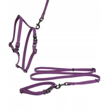 Barry King Patvarios guminės šunų petnešos, violetinės, 16 mm / 30–60 cm