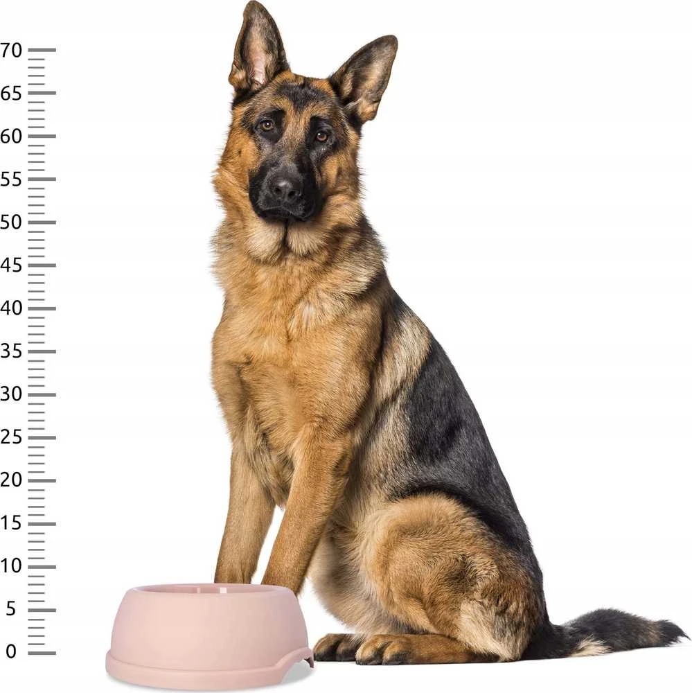 Barry King dubenėlis plastikinis dla psów XL, 2,25L, smėlio sp., śr. 29cm,