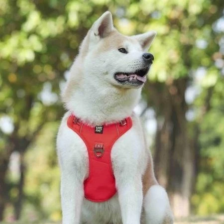 Barry King Šuns petnešos, raudonos, Oksfordo audinio, L, kaklo apimtis 43-60 cm / krūtinės apimtis 47-86 cm