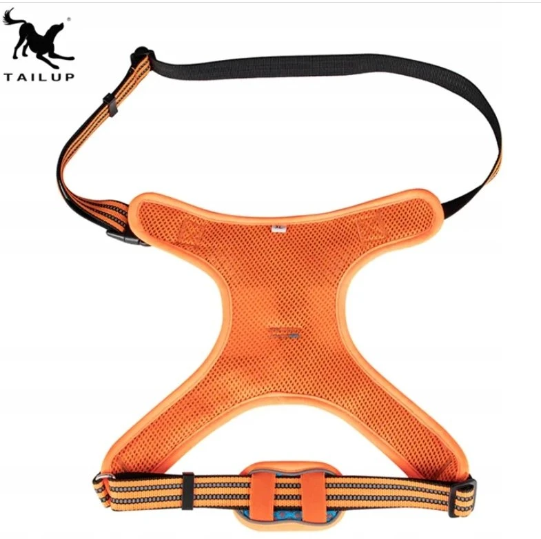 Barry King šuns petnešos, mėlynos ir oranžinės spalvos, su šviesą atspindinčiomis detalėmis, S dydis, kaklo apimtis 38–49 cm / krūtinės apimtis 41–63 cm