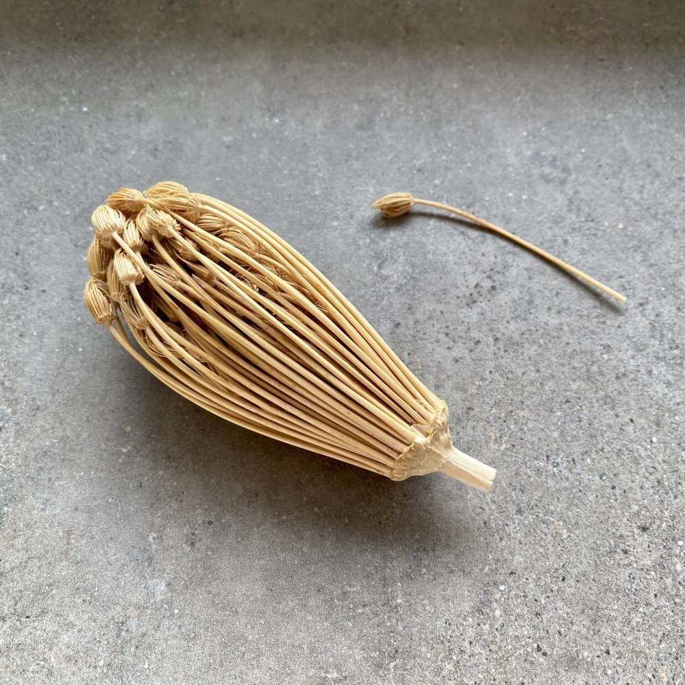 Bayer Design Bayer Rivsalt™ Refill TOOTHPICK