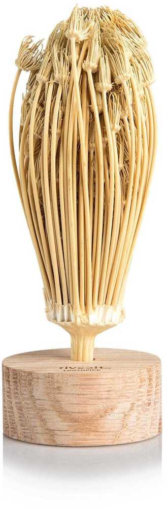 Bayer Design Bayer Rivsalt™ TOOTHPICK