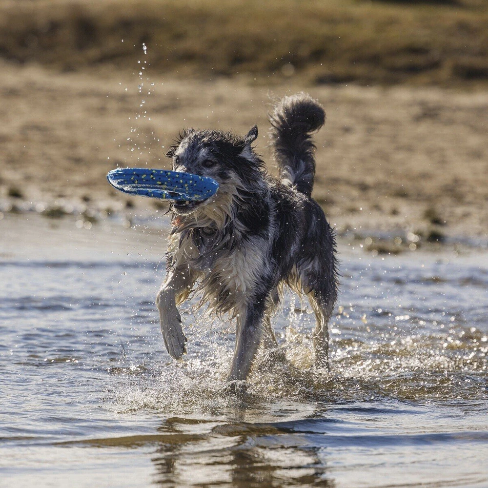 Beeztees DOG TOY FRISBEE GISA Mėlynas 24