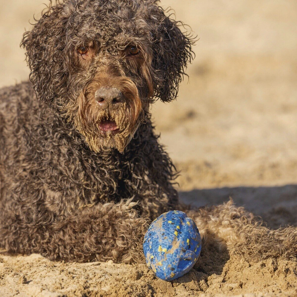 Beeztees DOG TOY RUGBY BALL ALGO Mėlynas 13