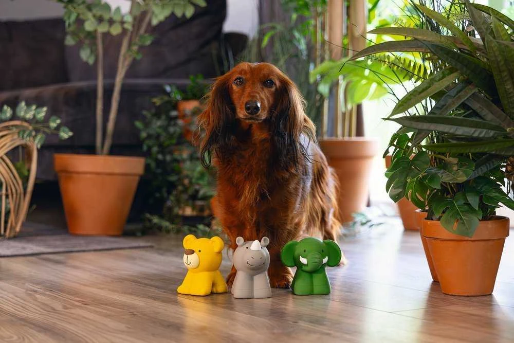 Beeztees DOG TOY JUNGLE ANIMALS