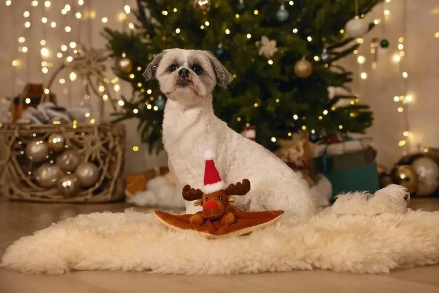 Beeztees Žaislas šunims su čežančiu elniu, 21 cm