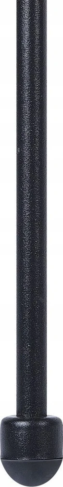 Beliani Sodo suolelis ACAPULCO II 113 cm iš technorattano, juodas