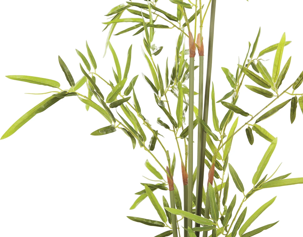 Beliani Dirbtinis augalas BAMBUSA VULGARIS 100 cm žalios spalvos