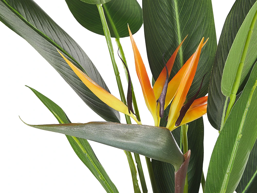Beliani Dirbtinis augalas STRELITZIA TREE 115 cm žalias