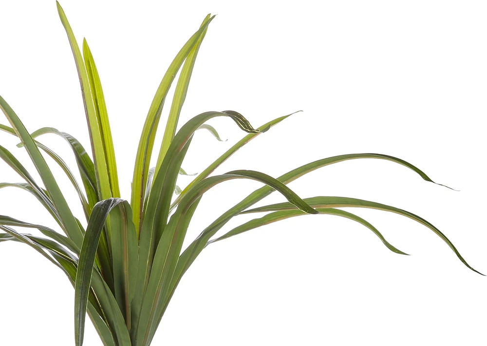 Beliani Dirbtinis augalas DRACAENA ANITA 147 cm žalias