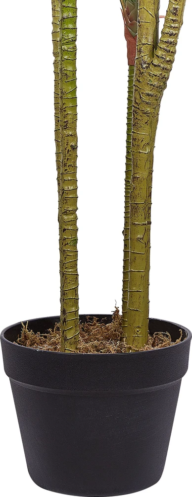 Beliani Dirbtinis augalas DRACAENA ANITA 147 cm žalias