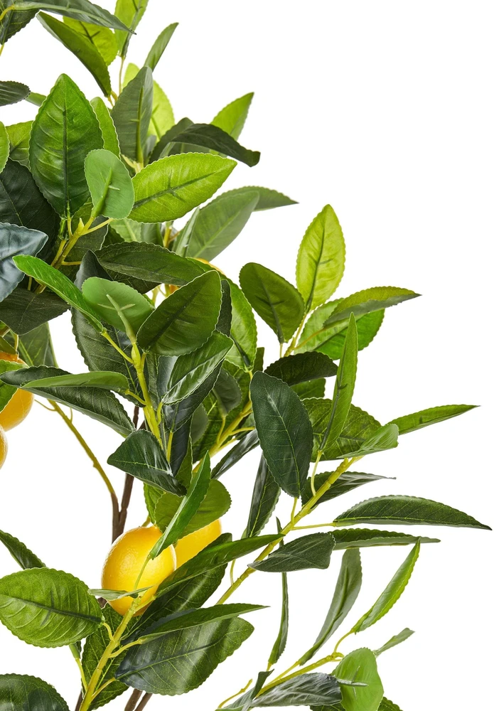 Beliani Dirbtinis augalas LEMON TREE 105 cm Žalias