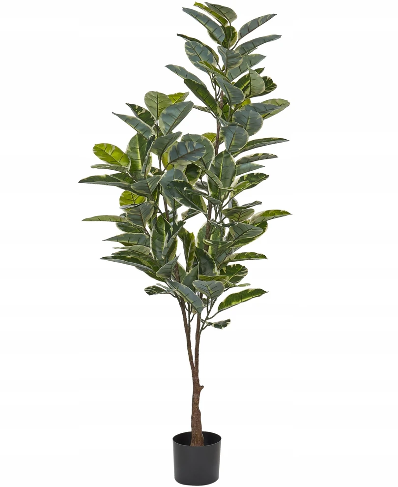 Beliani Dirbtinis augalas FICUS ELASTICA 160 cm žalias