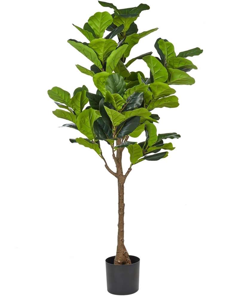 Beliani Dirbtinis augalas FIG TREE 162 cm žalias