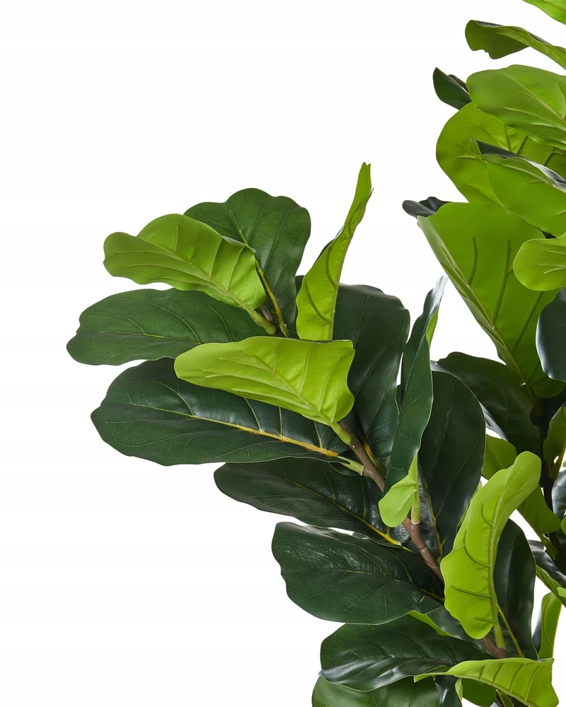Beliani Dirbtinis augalas FIG TREE 162 cm žalias