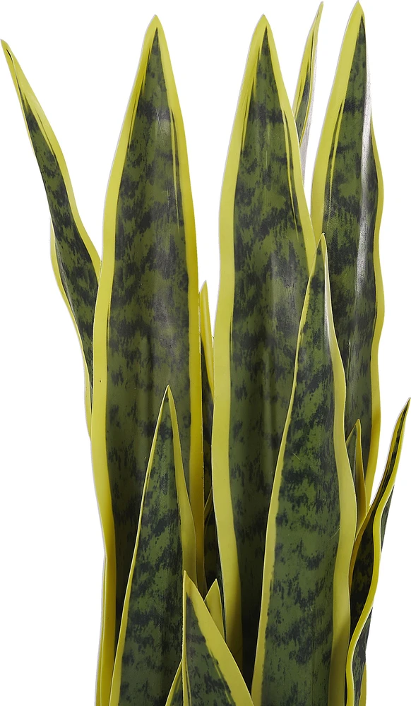 Beliani Dirbtinis augalas SNAKE PLANT 63 cm Žalias