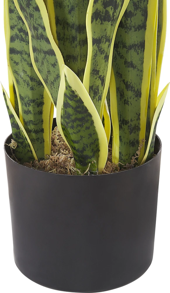 Beliani Dirbtinis augalas SNAKE PLANT 63 cm Žalias