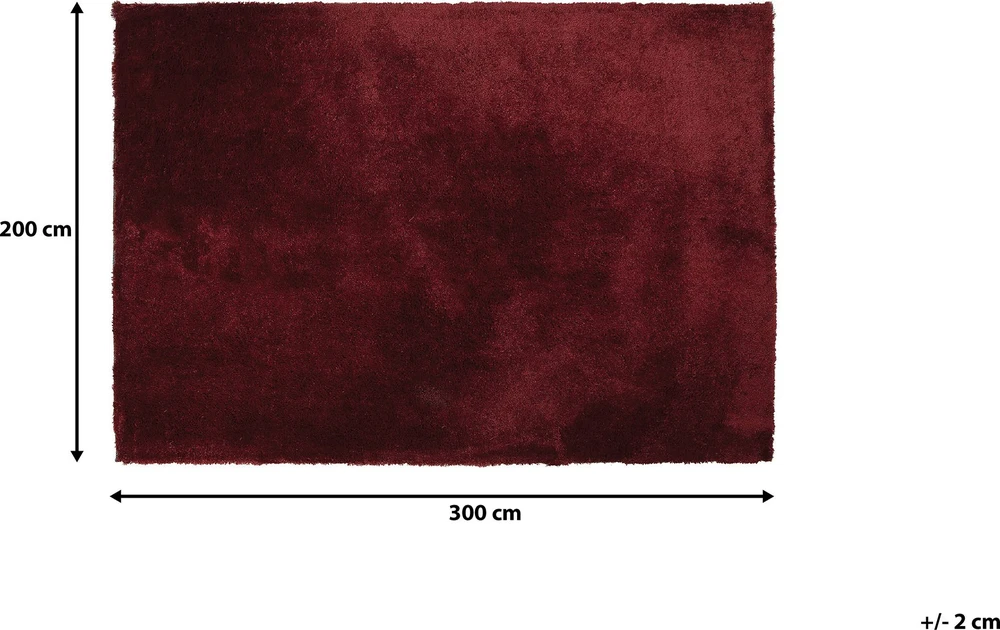 Beliani Shaggy kilimas EVREN Raudonas 200 x 300 cm