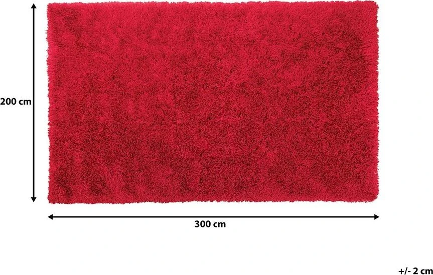 Beliani Raštuotas kilimas shaggy CIDE raudonas 200 x 300 cm