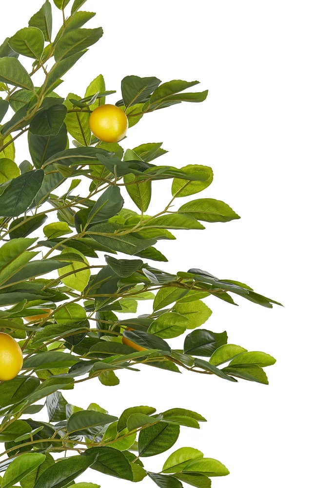 Beliani Dirbtinis augalas LEMON TREE 156 cm žalias