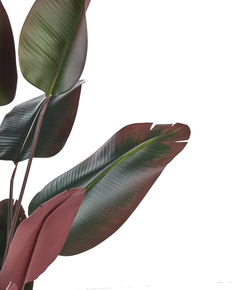 Beliani Dirbtinis augalas BANANA TREE 163 cm žalias
