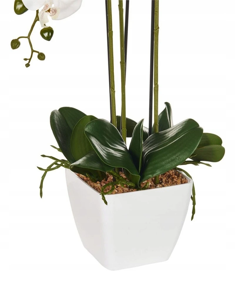 Beliani Dirbtinis augalas ORCHID 59 cm baltas