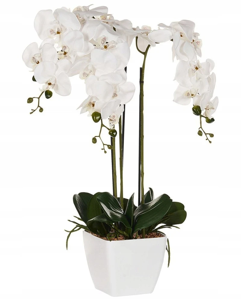 Beliani Dirbtinis augalas ORCHID 59 cm baltas