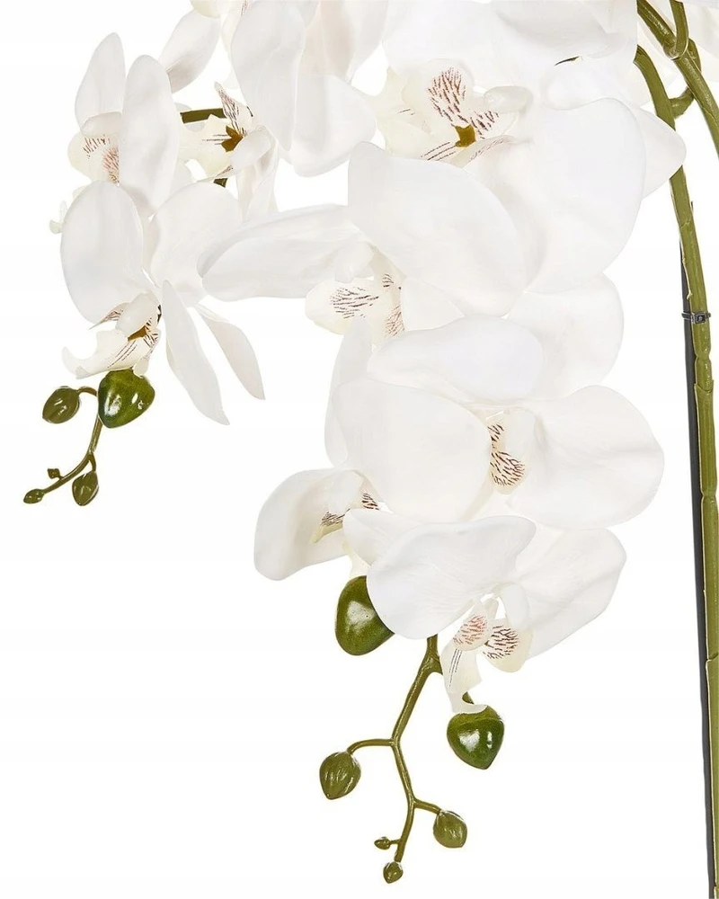 Beliani Dirbtinis augalas ORCHID 59 cm baltas
