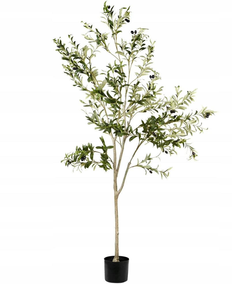 Beliani Dirbtinis augalas OLIVE TREE 178 cm žalias