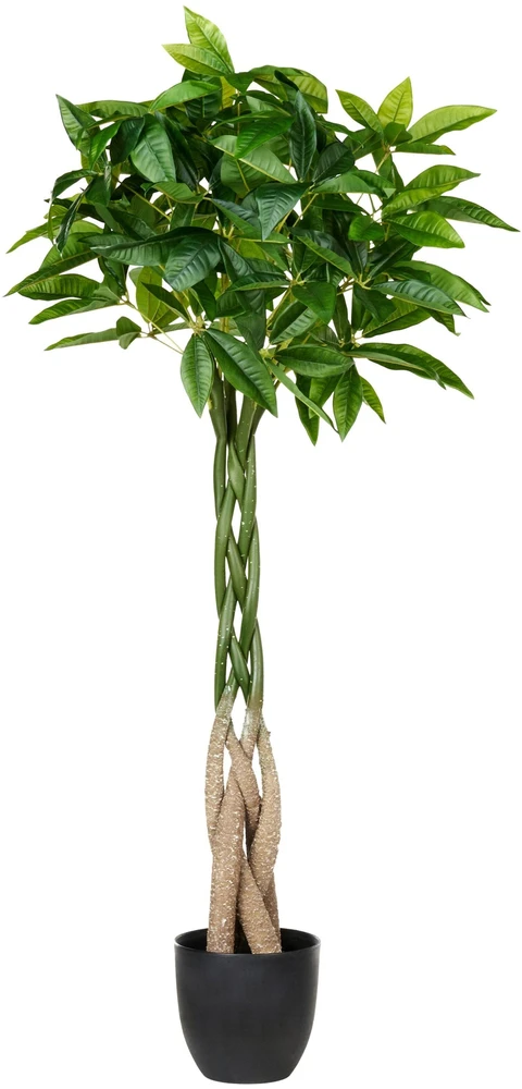 Beliani Dirbtinis augalas PACHIRA TREE 120 cm žalias