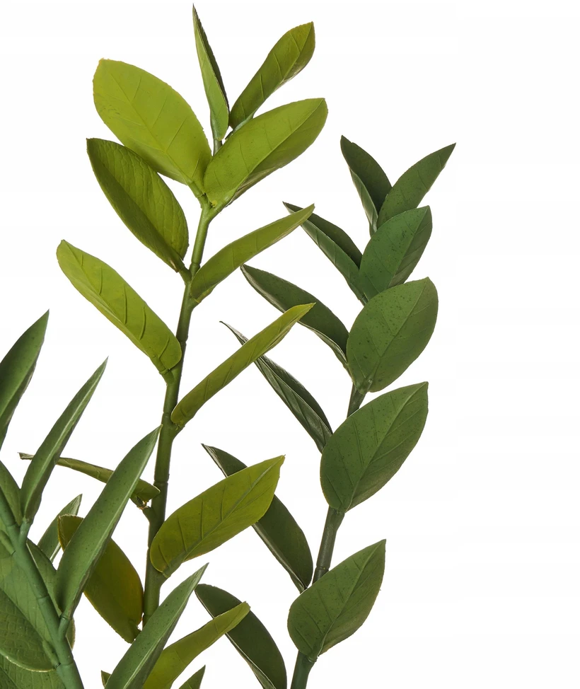 Beliani Dirbtinis augalas ZAMIIFOLIA 76 cm žalias