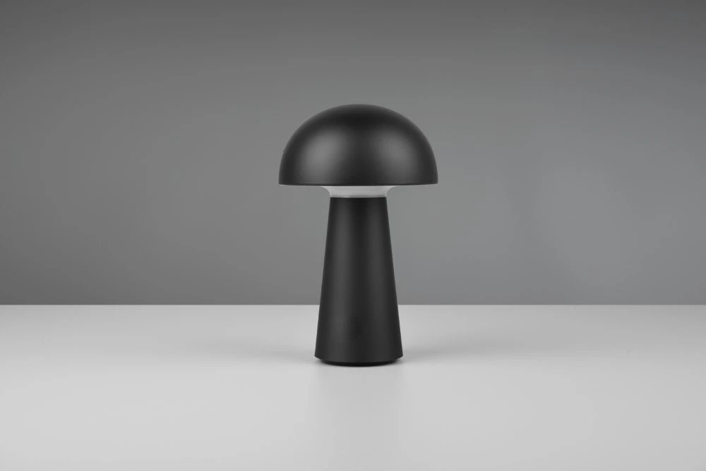 Belideco Lauko stalinė nešiojama LED lempa 2 W LENNON R52176102 RL