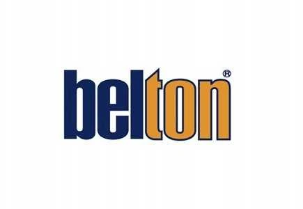 Belton AEROZOLINIAI CINKO SPALVOS DAŽAI 400 ML