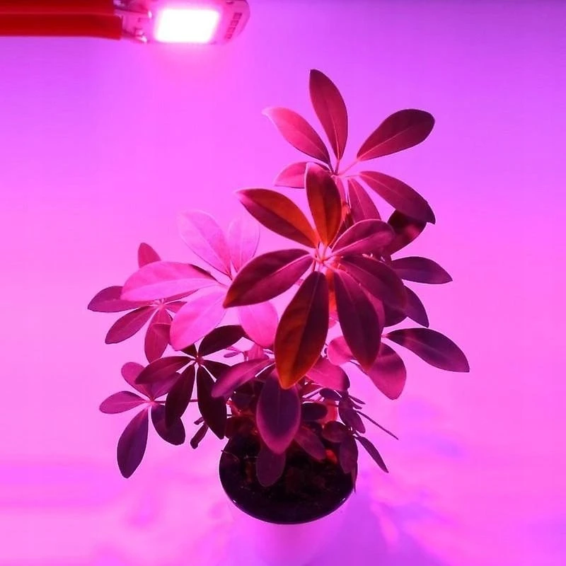 Bemko 14W/m COB LED juosta PREMIUM, 24V, 480LED/m, 4000K, IP20, 5m ritė