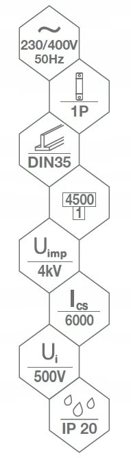 Bemko A02-G7-1P-C40 GRANDINĖS IŠJUNGIKLIS 4.5KA 1P C 40A SCHELINGER A02-G7-1P-C40