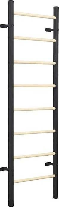 Gimnastikos sienelė BenchK 210B