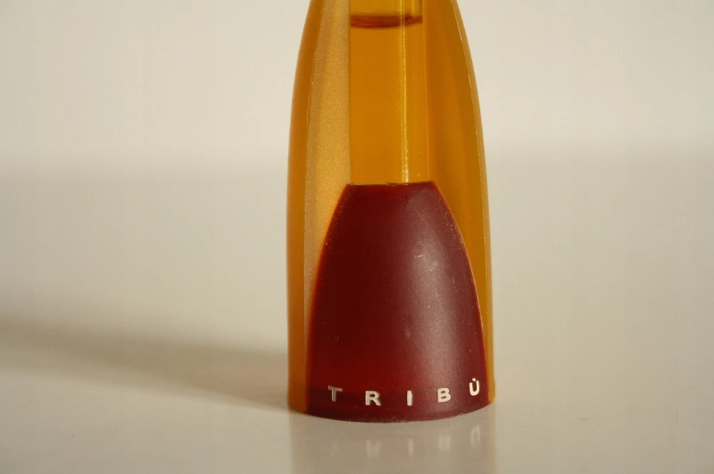 Benetton Tribu Mėlyna EDP parfumuotas vanduo vyrams, 100 ml