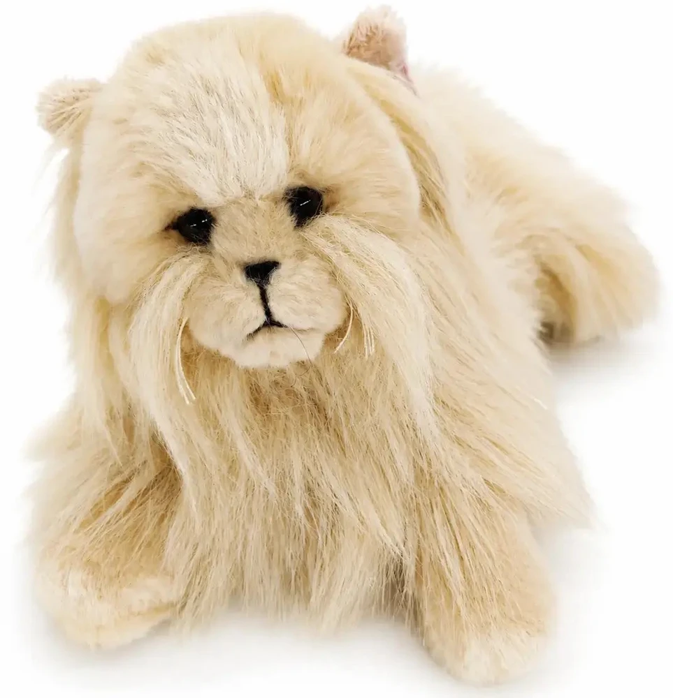 Beppe *****Kot perski karmelowy 35cm 14290 25081
