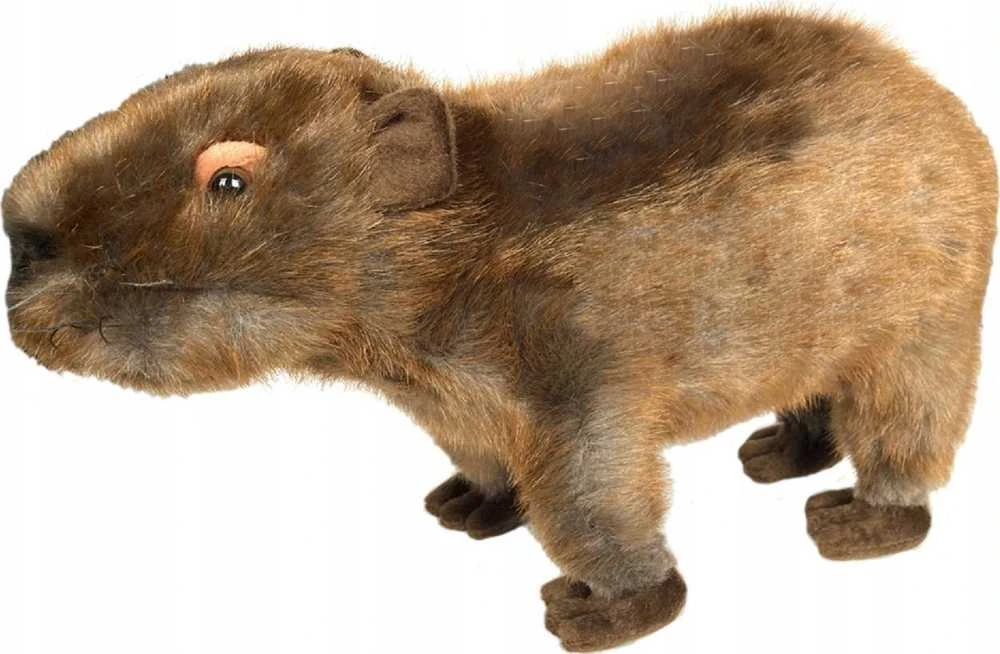 Beppe „Capybara“ pliušinis talismanas 33cm