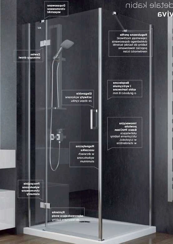 Stačiakampė dušo kabina Besco Viva Chrome, 100 x 80 x 195 cm, kairė
