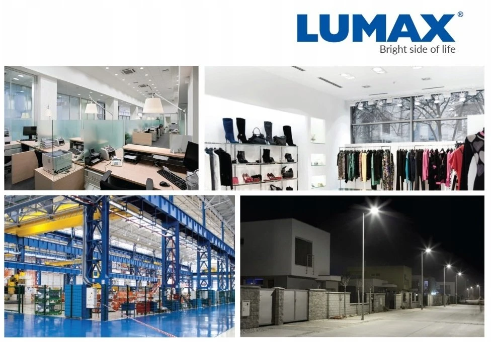 BestService LED lemputė Lumax SMD LL107 19W E27 GL120 3000K 2000LM balta