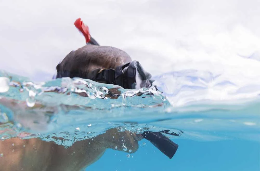 Nardymo komplektas BESTWAY INSPIRA PRO SNORKEL 25045